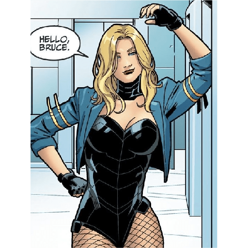 Black Canary  4