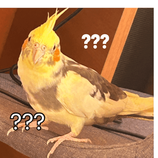 Paco
