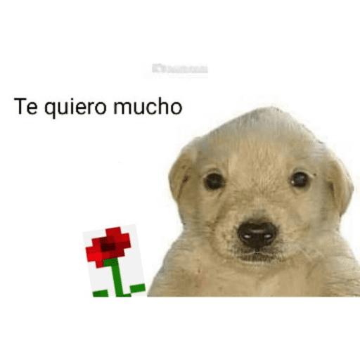 Mis pegatinas 13