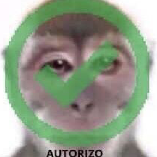 Xibiu 11