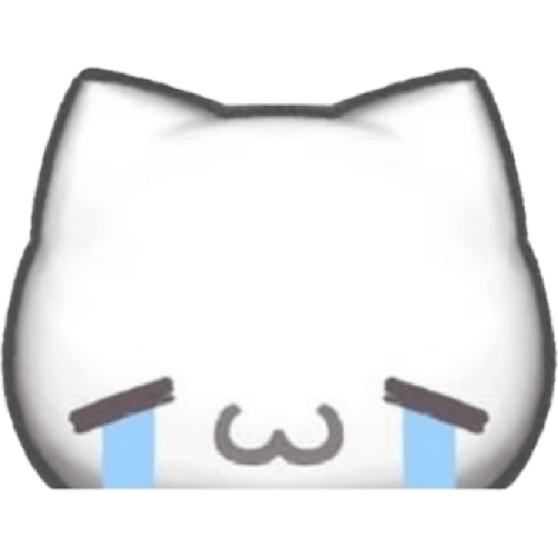 Cute kitty 16