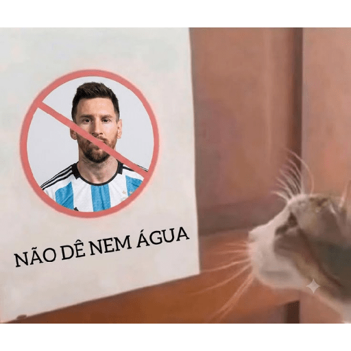 Memes do tik tok 12