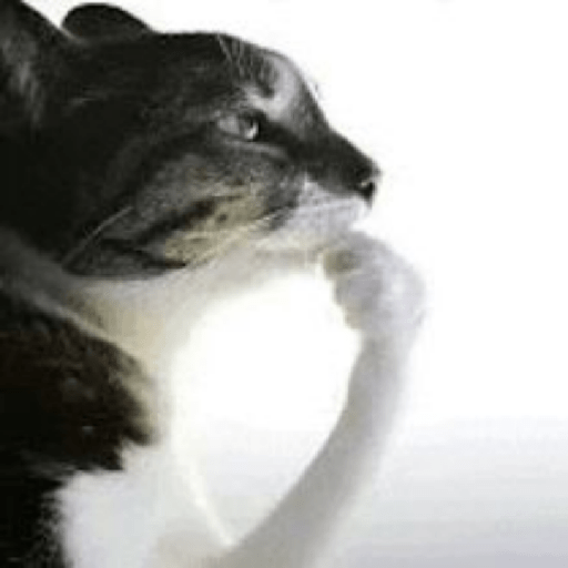 Memes do tik tok 7