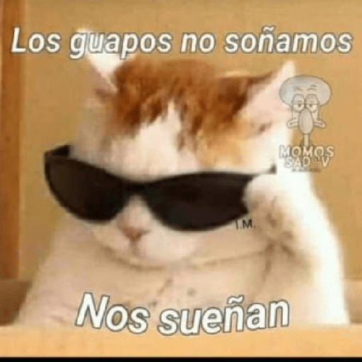 🩶🐈‍⬛ Gatos Con Frases 🐈‍⬛🩶 9