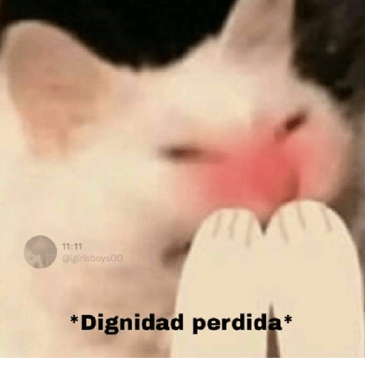 🩶🐈‍⬛ Gatos Con Frases 🐈‍⬛🩶 12