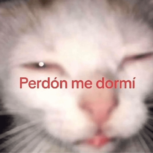 🩶🐈‍⬛ Gatos Con Frases 🐈‍⬛🩶 14