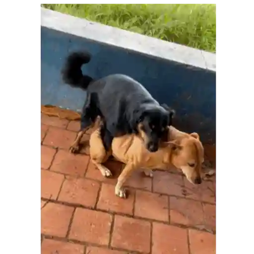 Kkkkk 2