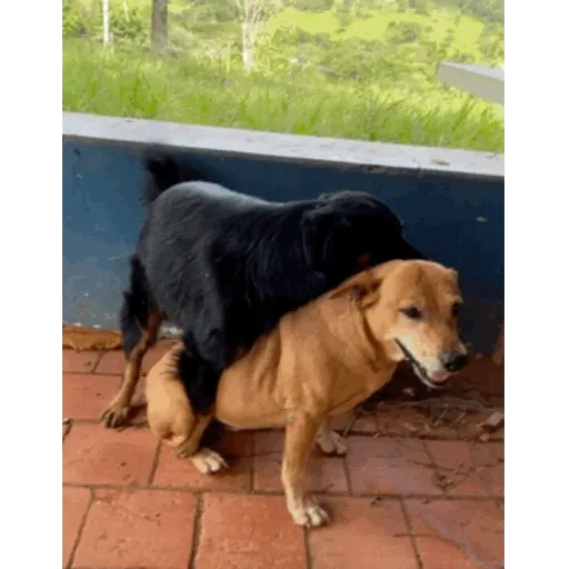 Kkkkk 1