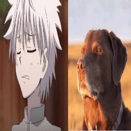 Killua 6
