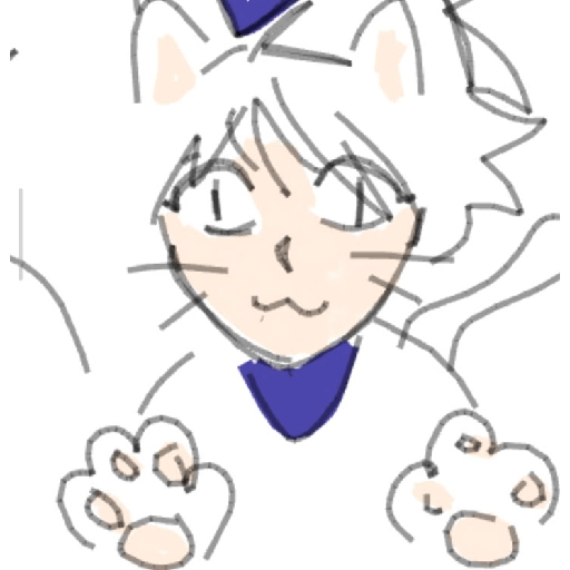 Killua 8