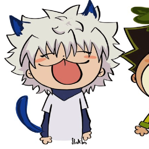 Killua 9