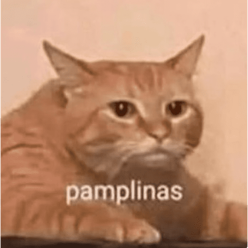 NIA🫦 24