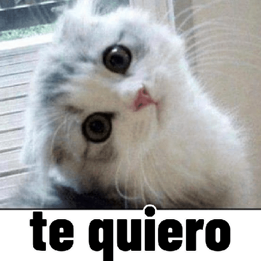 Ternura 14