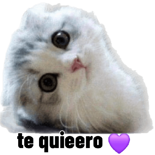 Ternura 5