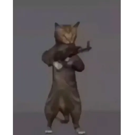 Gif aleatório  11