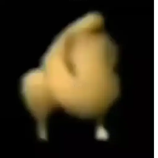 Gif aleatório  6
