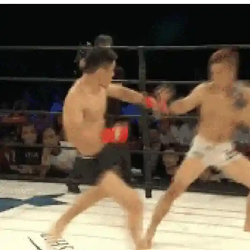 Gif aleatório  24