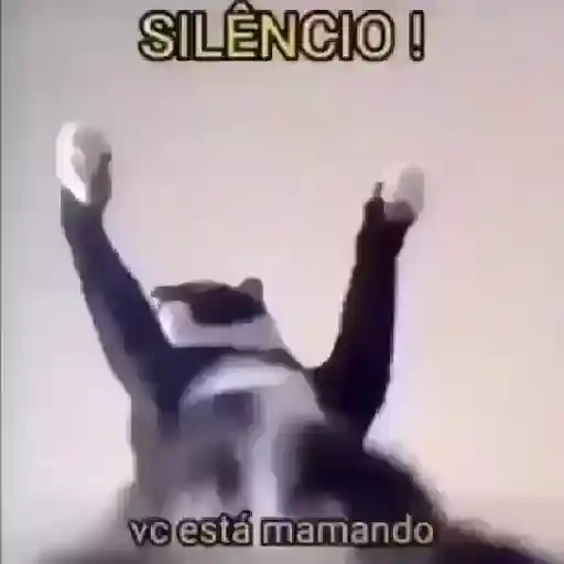 Gif aleatório  14