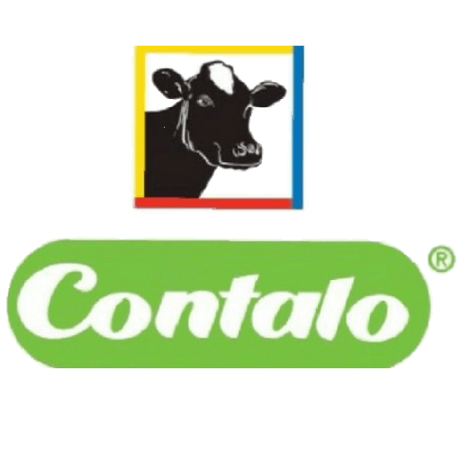 Logos 11