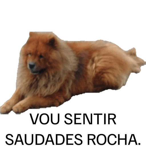 Minhas figurinhas 6