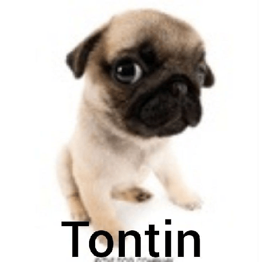 Sticker Image