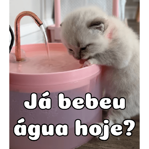 Bichinhos 2.0 12