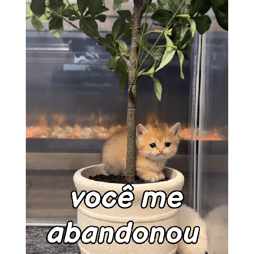 Bichinhos 2.0 14