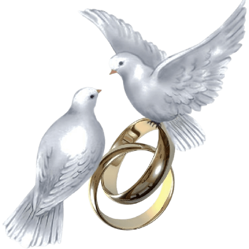 تهنئة 430 9