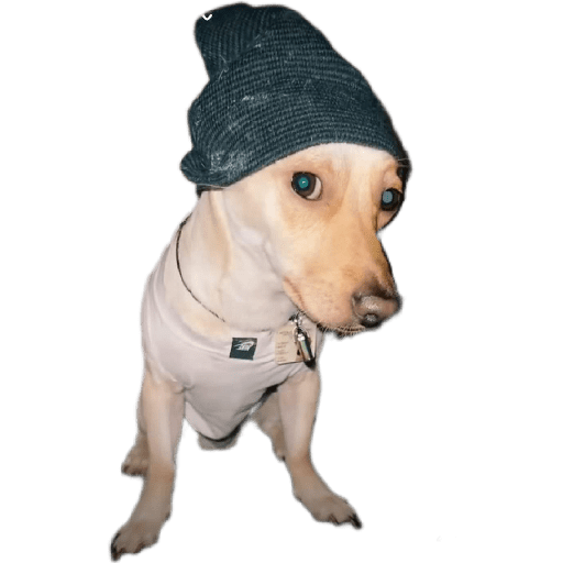 Sticker Image