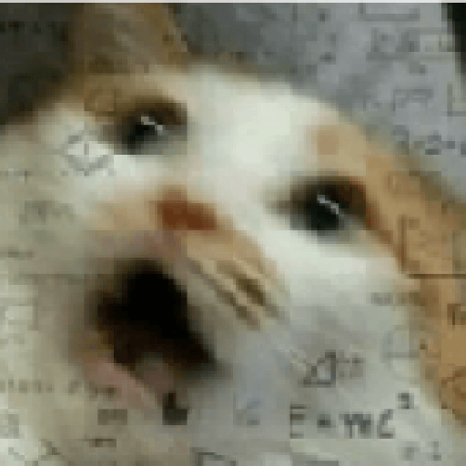 Gatos 22