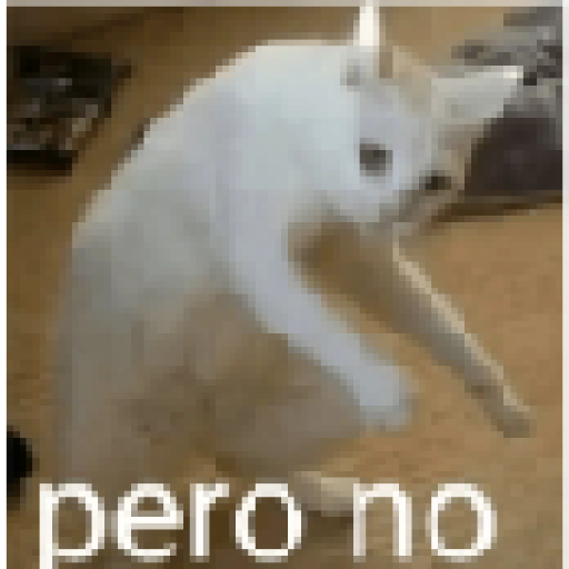 Gatos 11