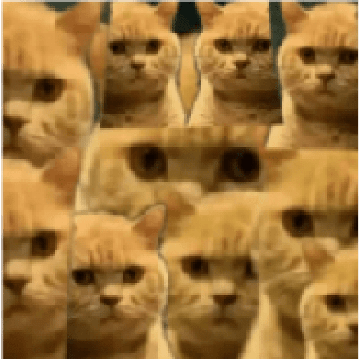 Gatos 15