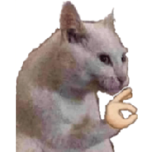 Gatos 18