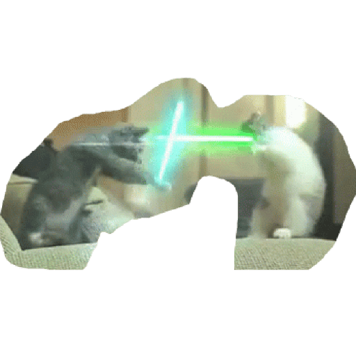 Gatos 28