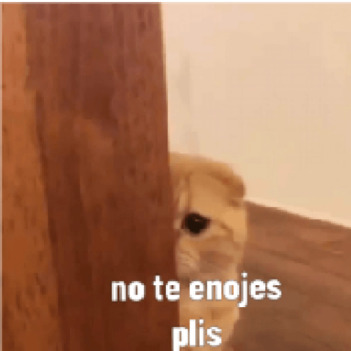 Gatos 8