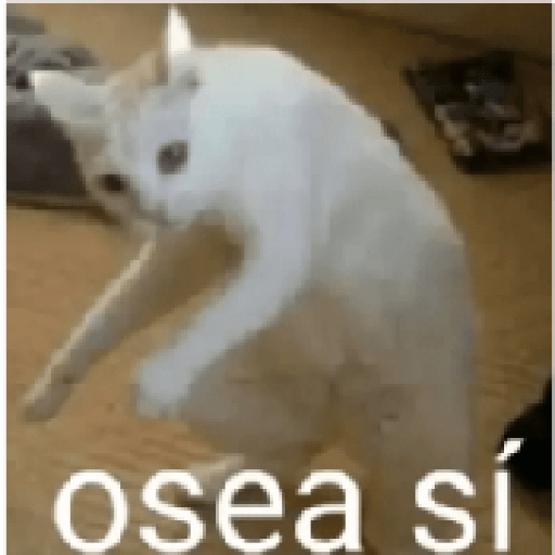 Gatos 10