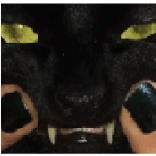 Gatos 21