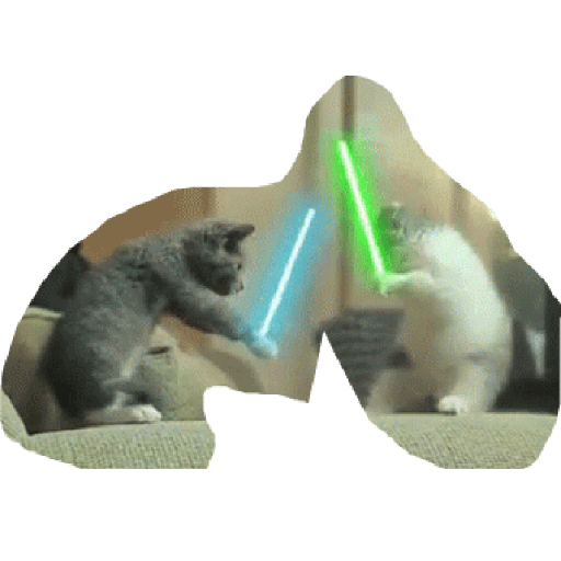 Gatos 27