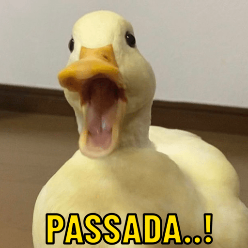 Patos e afins..  7