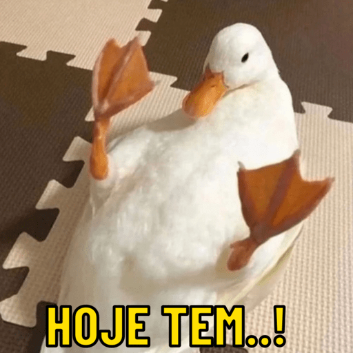 Patos e afins..  19