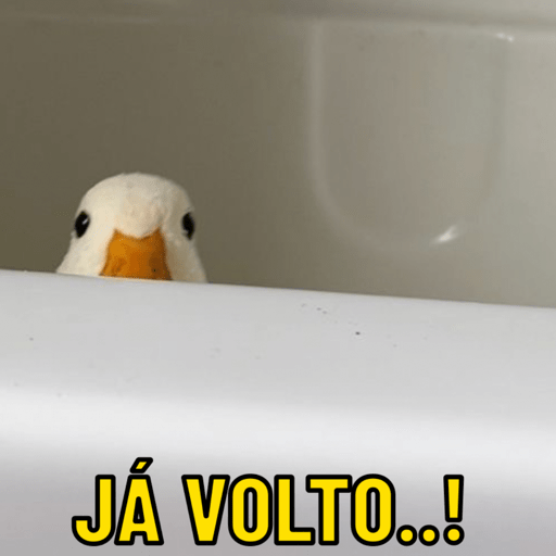 Patos e afins..  10