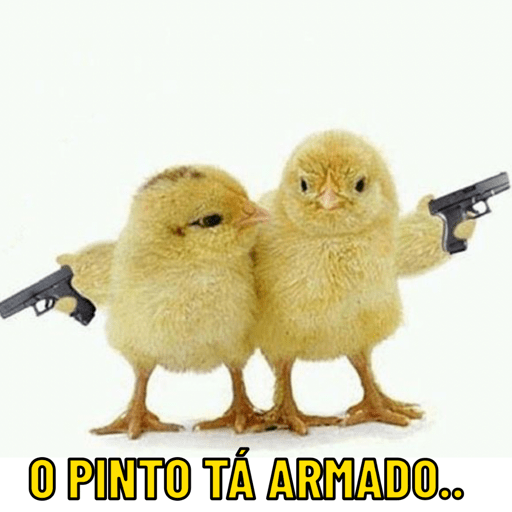 Patos e afins..  22