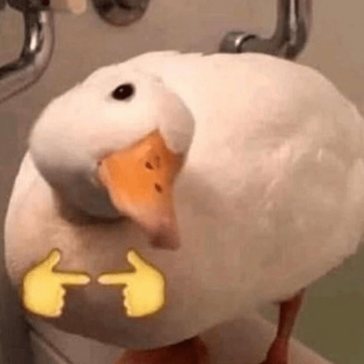 Patos e afins..  6