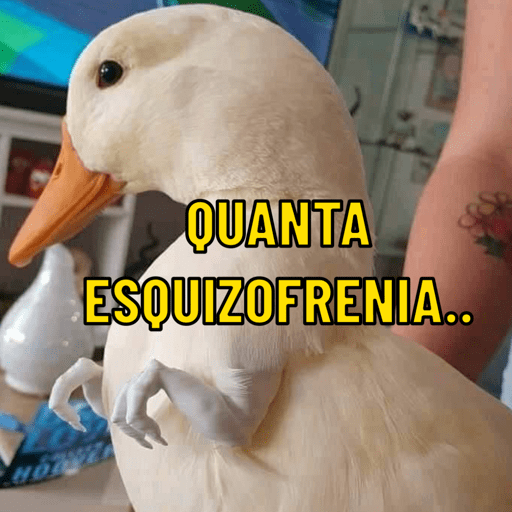 Patos e afins..  12