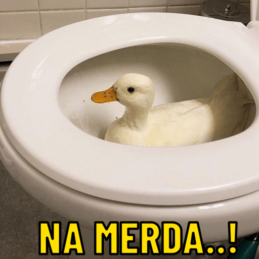 Patos e afins..  17