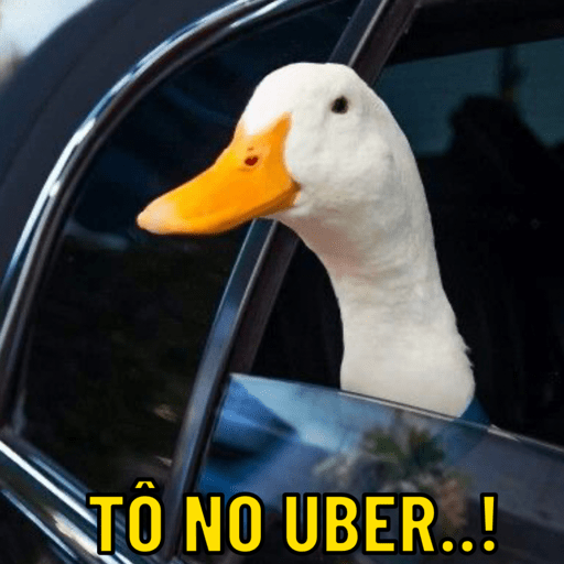 Patos e afins..  20