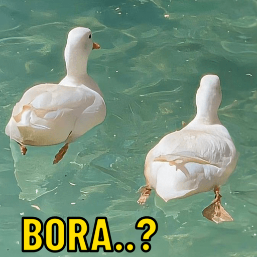 Patos e afins..  13
