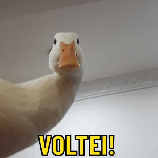 Patos e afins..  9