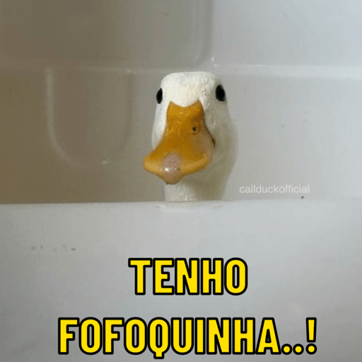 Patos e afins..  18