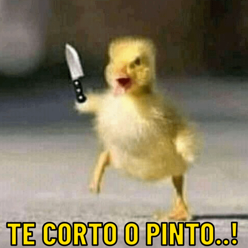 Patos e afins..  23
